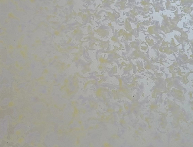 银箔漆